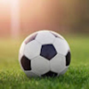 Meet your Posher, Harley